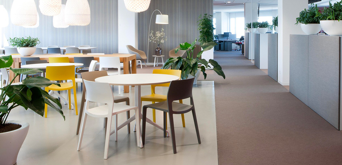 Juno 02 Italian design chair by Arper, designer James Irvine